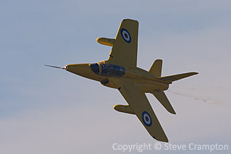 Foland Gnat
