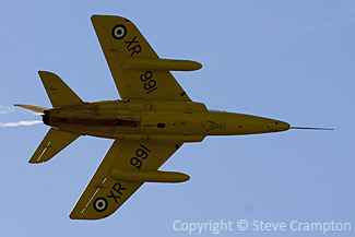 Foland Gnat