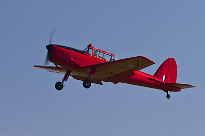 Chipmunk WP903
