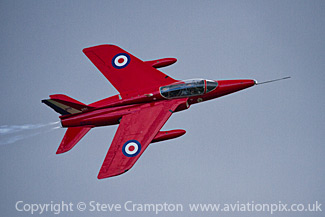 Foland Gnat