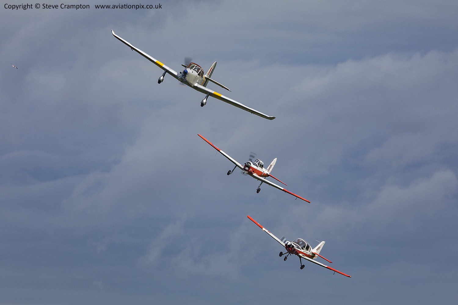 Prentice, Chipmunk and Bulldog