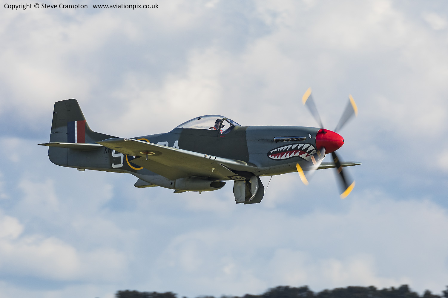North American Mustang