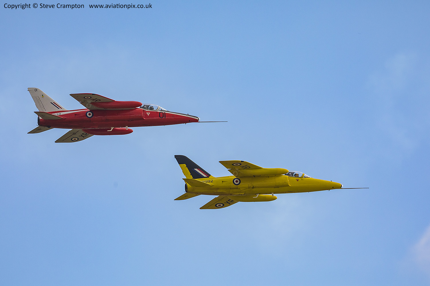 Foland Gnat Pair