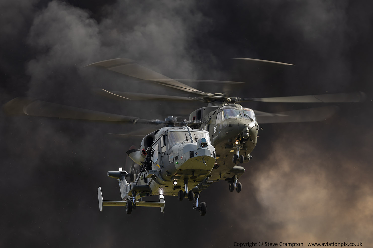 Merlin and Wildcat
