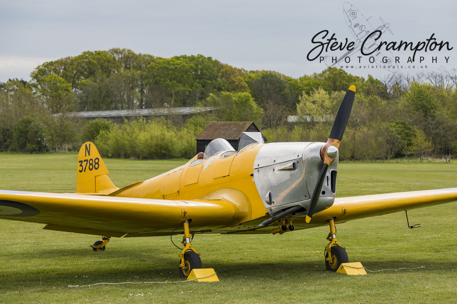 Miles Magister