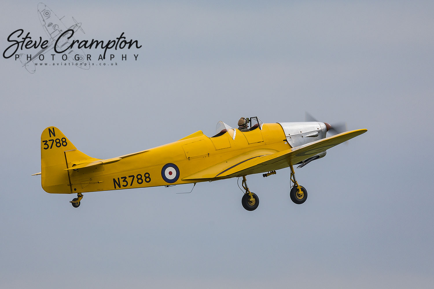Miles Magister